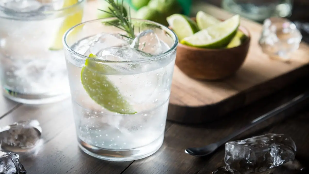 vaso de gin tonic - Como se hace un gin tonic